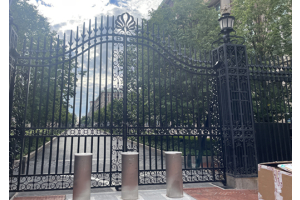 Forged in History: AIDI Explores NYC's Architectural Ironwork